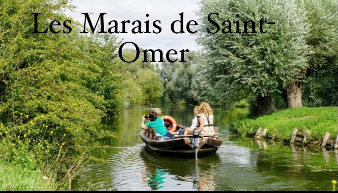 Le Clos Des Bambous Saint-Martin-Lez-Tatinghem Экстерьер фото